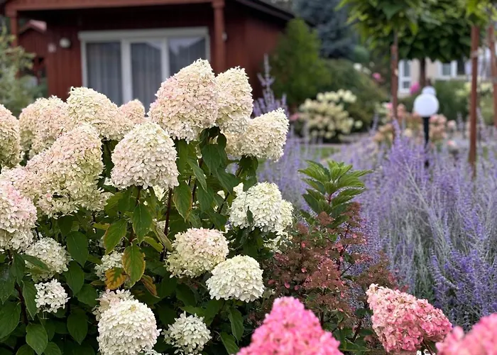 Miedzy Lasem A Wsia Alojamento de Turismo Selvagem *