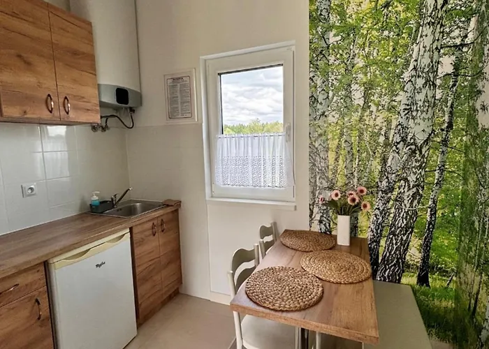 Miedzy Lasem A Wsia Alojamento de Turismo Selvagem *