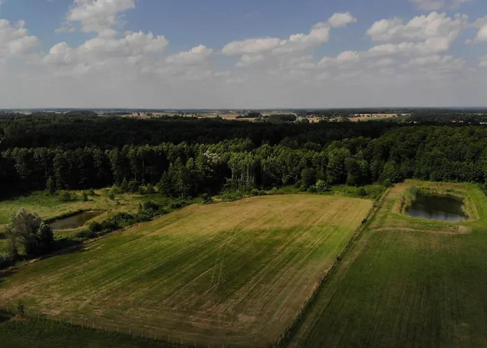 Alojamento de Turismo Selvagem Miedzy Lasem A Wsia Grzybowo (West Pomeranian)