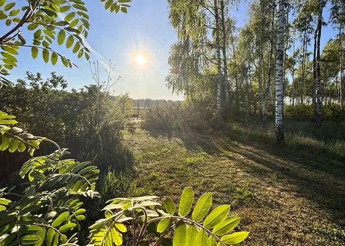 Miedzy Lasem A Wsia * Grzybowo (West Pomeranian)